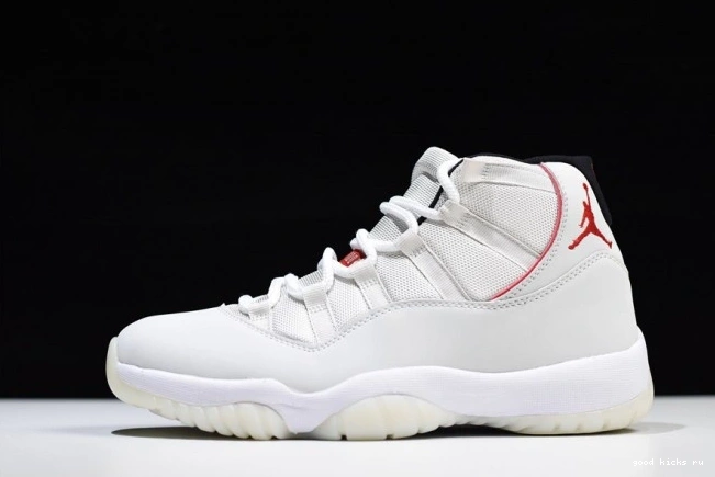 Tint Jordan Platinum 11 Air Retro 378037-016 0629